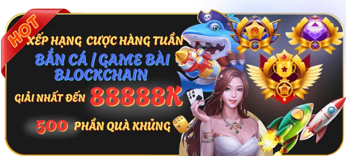 Hoàn trả tiền cược K9CC hàng ngày/tuần